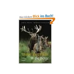 Durch die W�lder in die Berge