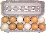 ONE DOZEN EGGS Fake Food