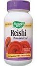 Reishi Mushroom...