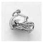 Football Helmet Charm