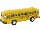 Metro School Bus