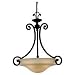 Sea Gull Lighting 65146 Acadia 3 Light Pendant