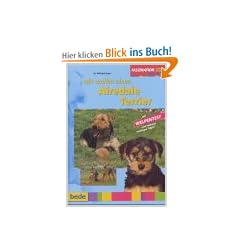 Wir wollen einen Airedale Terrier