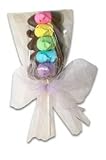 O. Rainbow Peep Pop