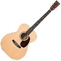 00016GT Acoustic Guitar Gloss