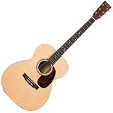 00016GT Acoustic Guitar Gloss
