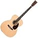 00016GT Acoustic Guitar Gloss