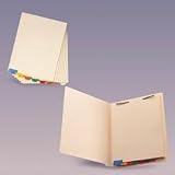 Smead Mfg Chart Divider Blank Clear 12pk/bx - Model 35820