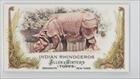 2011 Topps Allen and Ginter Mini Animals in Peril #AP14 - Indian Rhinoceros