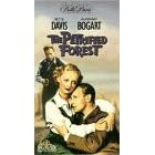 Petrified Forest [VHS]