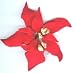 Gourmet Food : Red Gum paste Poinsettia
