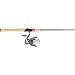 Pflueger President/Cabela's Tourney Trail¬ IM7 Spinning Combo