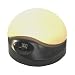 BioBrite Sunrise Clock Advanced Model - Charcoal (with 2 free bulbs)