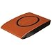 Video Games : SimpleTech Signature Mini FS-U25/250C 250 GB USB 2.0 Portable Hard Drive (Cayenne)