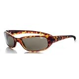 Bolle Sidney Sunglasses