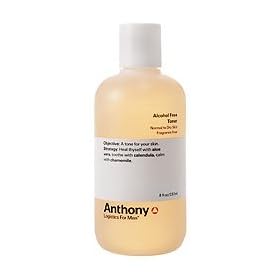 Anthony Logistics For Men Alcohol Free Toner