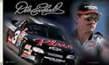 # 3 Dale Earnhardt OPlusO Premium Two Sided 3x5 Flag