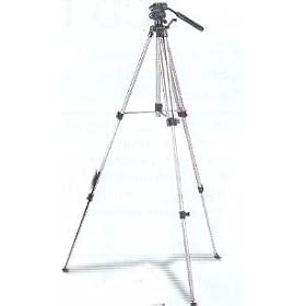 74