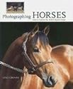 Photographing Horses: How to Capture the Perfect Equine Image