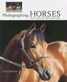 Photographing Horses: How to Capture the Perfect Equine Image