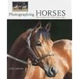 Photographing Horses: How to Capture the Perfect Equine Image