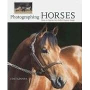 Photographing Horses: How to Capture the Perfect Equine Image