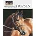 Photographing Horses: How to Capture the Perfect Equine Image