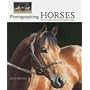 Photographing Horses: How to Capture the Perfect Equine Image