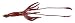 Giant Squid by Safari