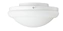 Hunter 27218 White Energy Efficient Low Profile Light Kit