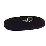 Aspen Pet 30' Heavy Duty Training Lead