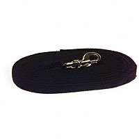 Childrens Toyshop  Pet Supplies : Aspen Pet 30' Heavy Duty Training Lead