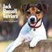Jack Russell Terriers 2009 Calendar, 12x12