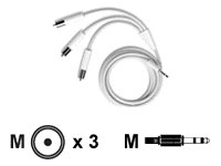 Childrens Toyshop  Computer : Apple iPod photo AV Cable