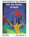 Human Behavior in the Social Environment: Families, Groups, Organizations, and Communities