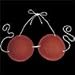 Adult Coconut Novelty Bra, Hula Skirts And Costume Accessories