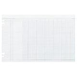 Wilson Jones N2D White End-Balance Ledger Forms, Both Sides Alike, 9-1/4X11-7/8, 100/Pack