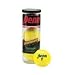 Sporting Goods : Penn ATP Regular Duty Tennis Balls