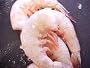 Large Raw Shell on Shrimp