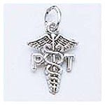 Physical Therapist Charm