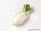 CS Ve プロ 厳選 築地 発送 鮮度 抜群 入荷後 即発送 　辛味大根 1ｹｰｽ 約2ｷﾛ前後