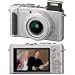Panasonic DMC-LX3S 10.1MP Digital Camera with 2.5x Wide Angle MEGA Optical Image Stabilized Zoom (Silver)