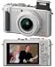 Panasonic DMC-LX3S 10.1MP Digital Camera with 2.5x Wide Angle MEGA Optical Image Stabilized Zoom (Silver)
