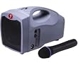 Fender P10FEN Portable Personal Sound System