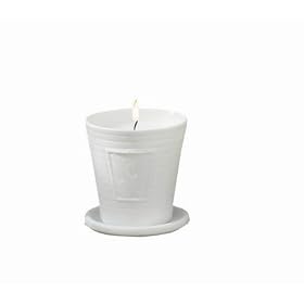 Tag Fresh Herb Scented Candles in Porcelain Bisque