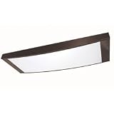 Buy American Fluorescent GZL432RBR8 Gizelle 4-32 Watt Linear Light Fixture, 2-Tone... by American Fluorescent