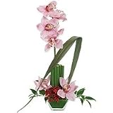 Flowers - Opulent Orchids