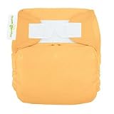 BumGenius 3.0 One-Size Cloth Diaper- Clementine