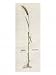 Ear of Wheat, from The Herbarium by Leonhart Fuchs, Published in Basel, 1555 Giclee Poster Print by German School, 18x24