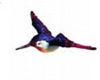 Clark Collection Hummingbird Window Magnet